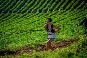 BIB: 1124
                            <button type="button" onclick="openModal(19161263)" class="btn btn-primary btn-sm float-right btn-popup" data-toggle="modal" data-target=".modal-high-quality">
                        <i class="fas fa-shopping-cart"></i> Add to Cart
                    </button>
                                            <button type="button" onclick="isThisMe(19161263, true)" class="btn btn-success btn-sm float-right btn-popup btn-isme hidden" data-toggle="tooltip" data-placement="bottom" title="นี่คือรูปของคุณใช่ไหม คลิกที่นี่เพื่อเอาเข้าอัลบั้ม">
                        <i class="fas fa-plus"></i> Add to album
                    </button>
                    <button type="button" onclick="isThisMe(19161263, false)" class="btn btn-warning btn-sm float-right btn-popup btn-isnotme hidden">
                        <i class="fas fa-ban"></i> Remove from album
                    </button>